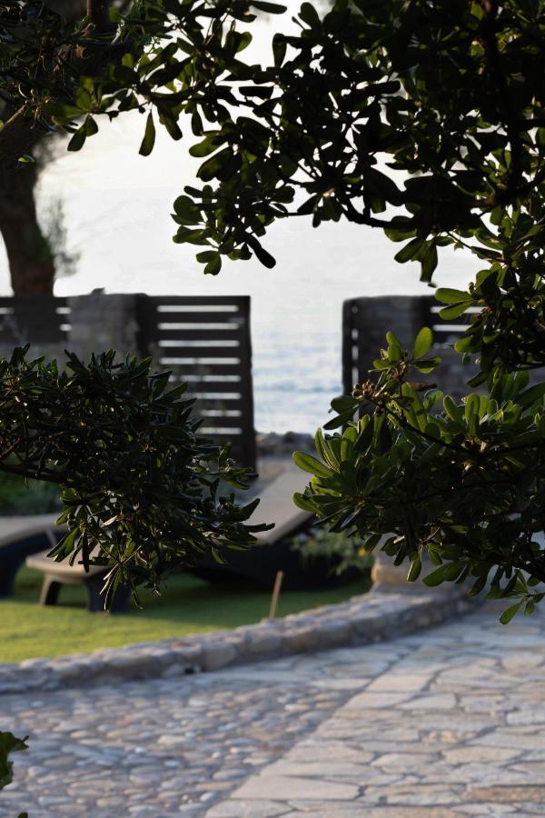 Magnisía Villa Thalassa Stavromenos Beach מראה חיצוני תמונה